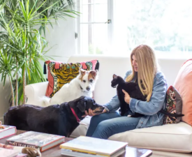 Low-Maintenance Breeds for City Life
